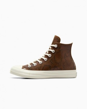 Brown Converse Chuck Taylor All Star Snakeskin Print Women Sneakers Canada | C-15260399
