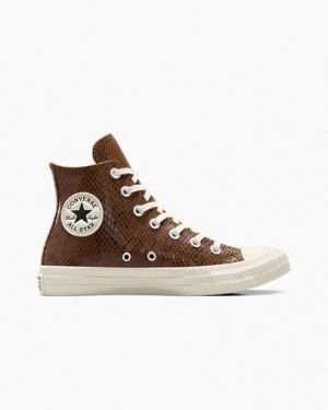 Brown Converse Chuck Taylor All Star Snakeskin Print Women Sneakers Canada | C-56832109