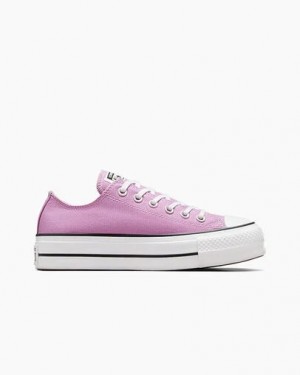 Light Purple /White / Black Converse Chuck Taylor All Star Lift Platform Women Canvas Shoes Canada | C-91286039