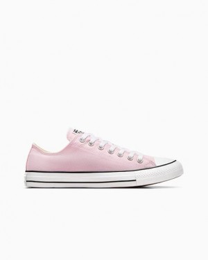 Pink Converse Chuck Taylor All Star Women Canvas Shoes Canada | C-07684519