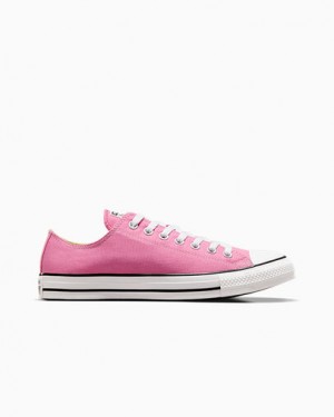 Pink Converse Chuck Taylor All Star Women Canvas Shoes Canada | C-81534299