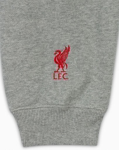 Grey Converse Converse x Liverpool FC Logo Men Hoodie Canada | C-70589329