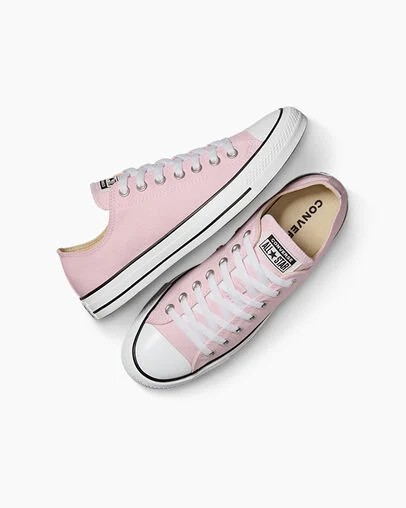 Pink Converse Chuck Taylor All Star Women Canvas Shoes Canada | C-07684519